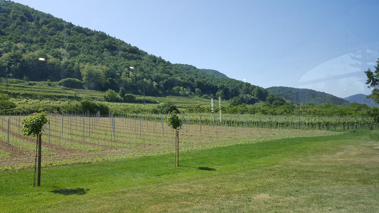 Gasthof Zur Wachau Hofarnsdorf エクステリア 写真